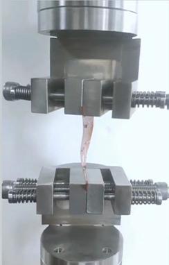 椎體切除模型拉壓試驗機